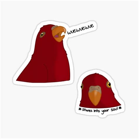 "Red Bird Staring Meme" Sticker for Sale by Moni-Makes-Art | Redbubble