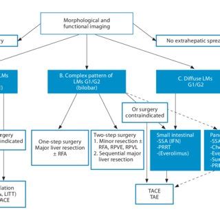 Treatment approach to liver metastases without extrahepatic spread. The ...