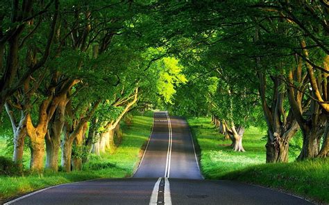 For Backgrounds Cool Nature Road Full On Beuty High, beautiful nature ...