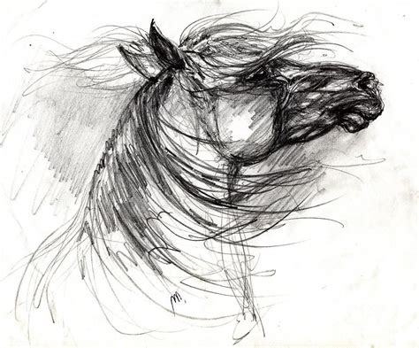 Wild Horses Drawings for Sale | Horse sketch, Horse drawings, Horse drawing