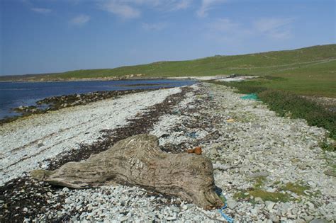 Driftwood, Ayre of Heogland © Mike Pennington :: Geograph Britain and ...