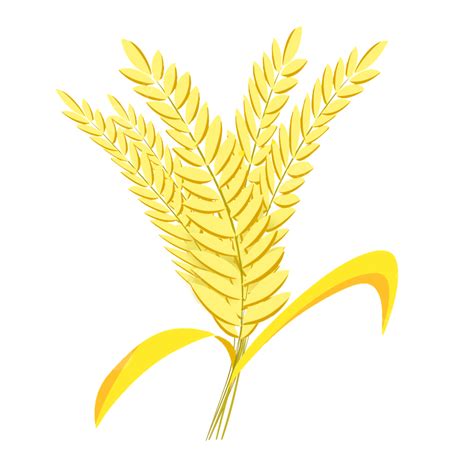 Wheat Grains White Transparent, Grain Vector Map Of Grain And Wheat ...