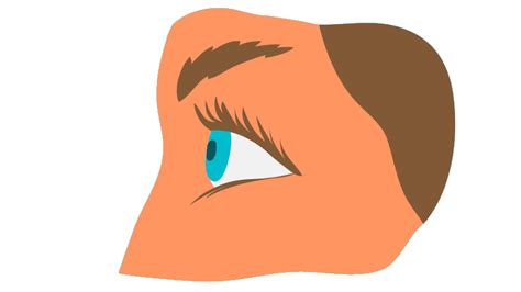 Dry Eye Syndrome - Symptoms, Treatment, and More