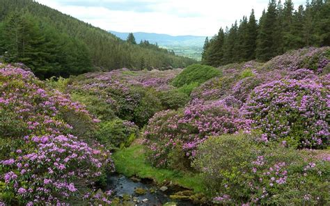 THE 10 BEST Things to Do in County Tipperary - 2021 (with Photos) | Tripadvisor - Must See ...