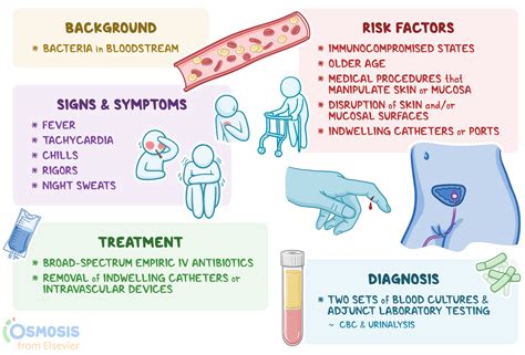 Bacteremia: What It Is, Causes, Signs and Symptoms, Treatment, and More | Osmosis