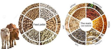 Making Cattle Feed Pellets With Quality Feed Making Machines