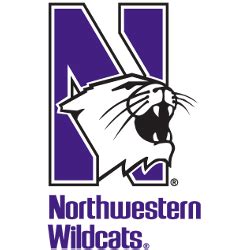 Northwestern Wildcats Alternate Logo | SPORTS LOGO HISTORY