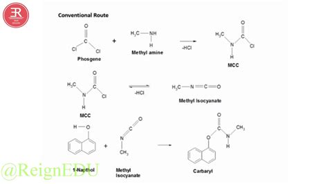 Synthesis of Carbaryl - || 2018 || #August || - #ReignEdu #NCERTSeries ...