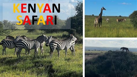 Nairobi National Park Safari - YouTube