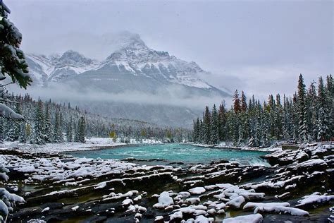 Snowy Athabasca | National parks, Athabasca, Jasper national park