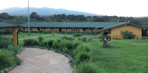 Ngorongoro Rhino Lodge - Earthlife Expeditions