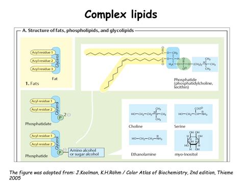 PPT - Structure of lipids PowerPoint Presentation, free download - ID:1431115