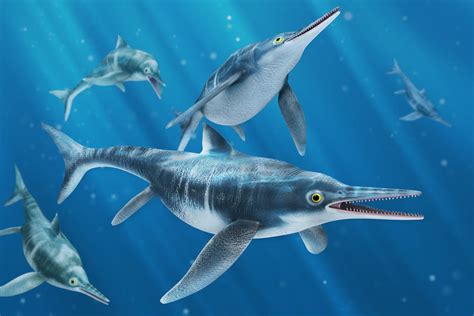 DDD: Fight 24- Platecarpus vs. Ichthyosaurus - Dinosaurs Forum