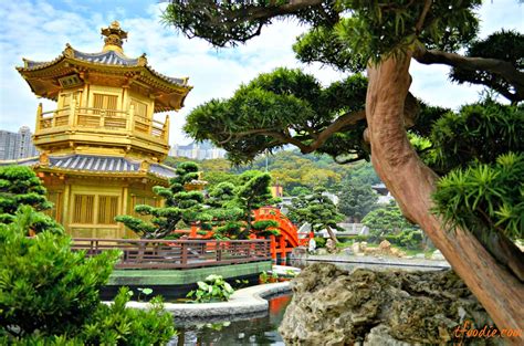 The traveling foodie: Chi Lin nunnery & Nan Lian gardens, Hong Kong