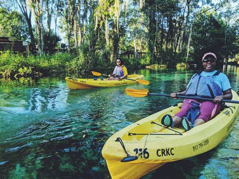 Making Restorations: Gators in Gainesville