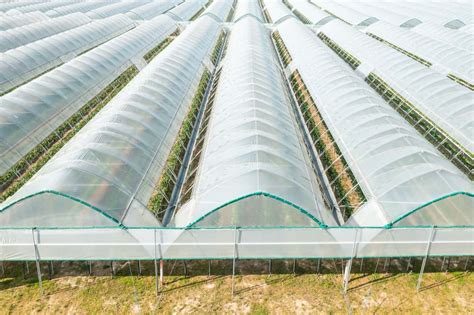 How to Maximize Profit in Greenhouse Farming: Take an Advantage of Future Farming