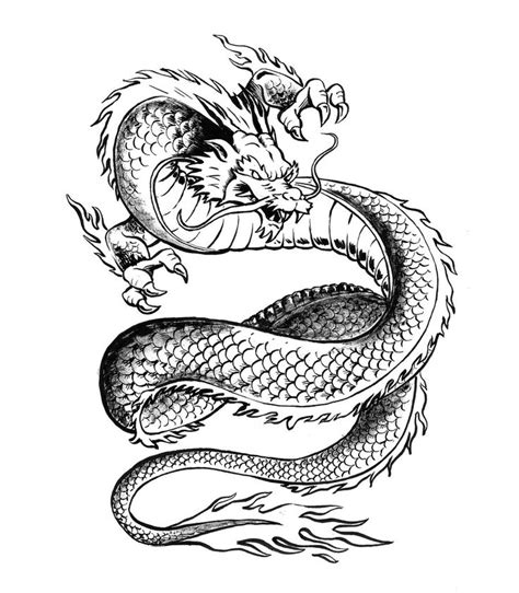 Japanese Dragon Tattoo Drawing at GetDrawings | Free download