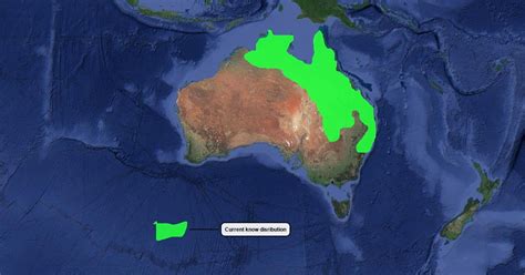 Cane Toad distribution : Scribble Maps