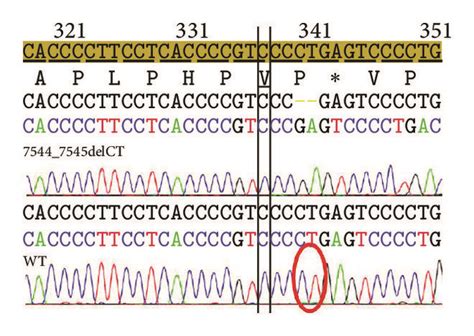 Fragment analysis and sequencing results. (a) Fragment analysis of a ...