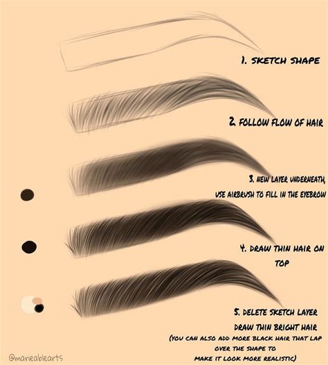 How To Draw An Eyebrow