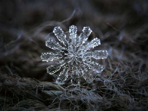 13 Perfect Snowflakes Captured in Photos