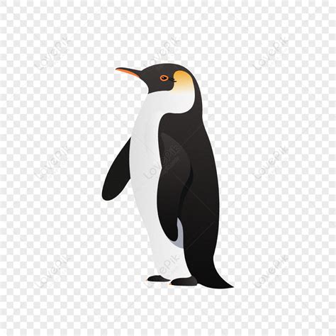 Antarctic Penguin Vector Illustration, Antarctic Penguins, Antarctic, Vector PNG Transparent ...