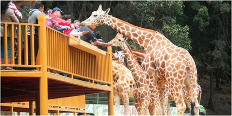 Bioparque Estrella lanza promociones para poder alimentar a sus animales