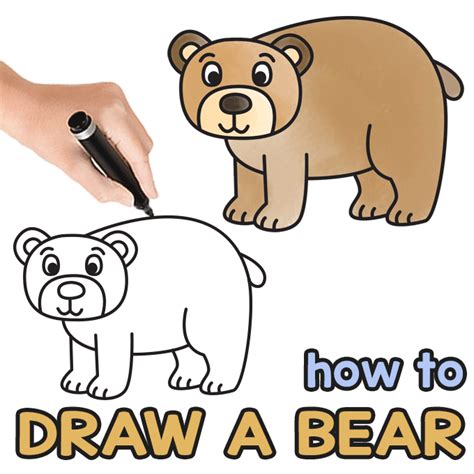 How To Draw A Bear