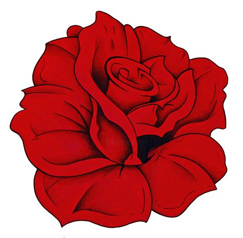 Red Rose., Drawing by Cloé Pierson | Artmajeur