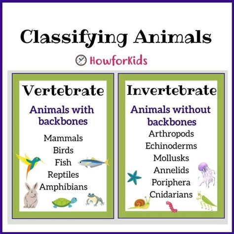 Pin on Vertebrates and Invertebrates