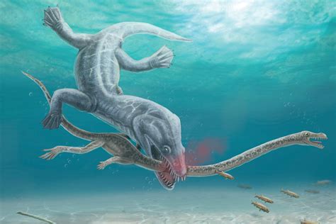 Pre-historic long-necked reptiles were decapitated by their predators ...