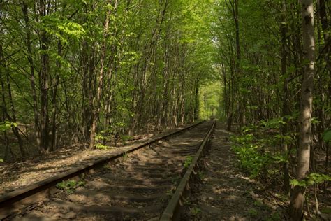 Tunnel of Love, Ukraine | Top Travel Destinations to Put on Your Bucket List | POPSUGAR Smart ...