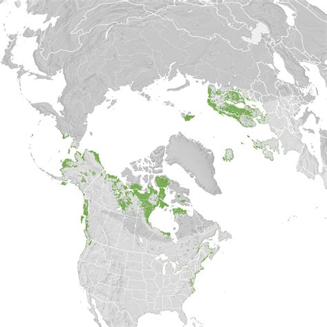 Red-throated Loon - Range map: Pre-breeding migration - eBird Status ...