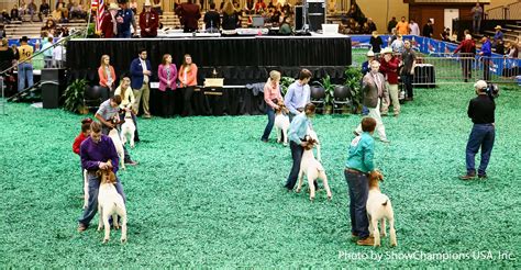 Texas Goat Breeders :: Texas Goat Breeders Association