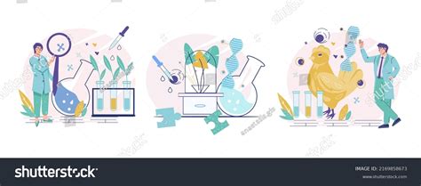 Gene Modification Animals Plants Bioengineering Banners Stock Vector ...