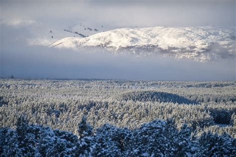 PICTURES: Snow arrives in north Scotland | Press and Journal