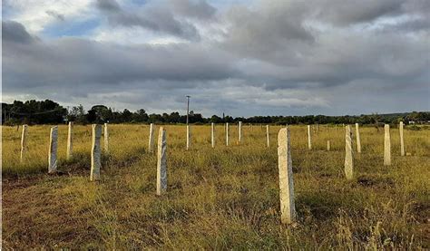 HESARAGHATTA CONSERVATION RESERVE - NO WAY AFFECTS FARMERS OR RESIDENTS ...