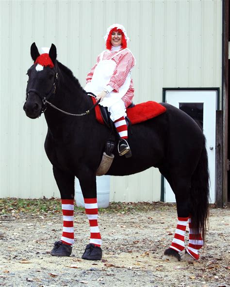 Halloween horse costume Horse Halloween Ideas, Horse Halloween Costumes, Horse Fancy Dress ...
