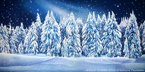 Winter Wonderland Backdrops Archives | Backdrops Fantastic Australia