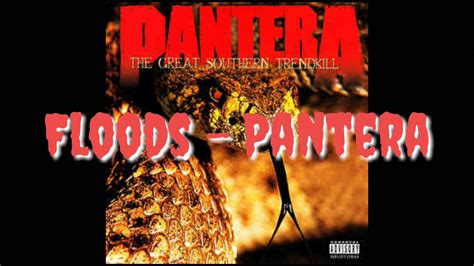 Pantera - Floods (solo cover) - YouTube