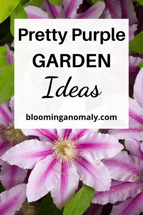 Pretty Purple Gardens Ideas - Blooming Anomaly