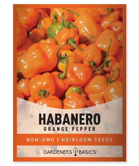 Orange Habanero Pepper Seeds – Gardeners Basics