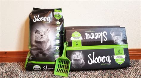 Skoon Cat Litter Review: We Tried Ultra-Absorbent Cat Litter - Wildernesscat