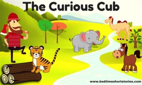 The Curious Cub | Kids Story - Short stories for kids