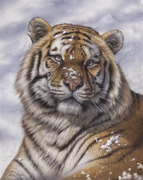 Eric Wilson Fine Art-Tiger paintings. Original fine art tiger artwork ...