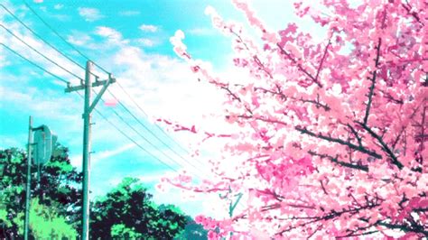 Pink Cherry Blossom Wallpaper (62+ images)