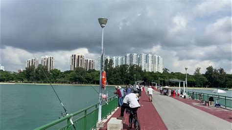 Bedok Jetty, table size queenfish - YouTube