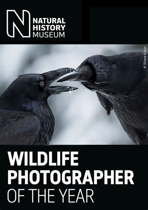 Wildlife Photographer Of The Year 2024 Tour - Image to u