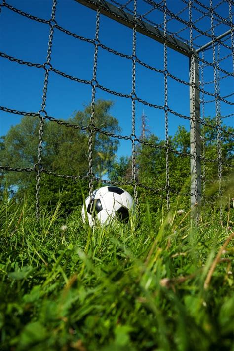 Soccer Ball Black and White in the Goal of a Green Grass Football Ground in Summer Stock Photo ...