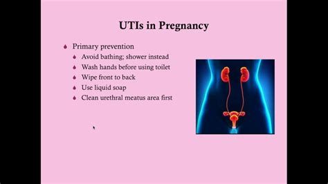 Uti And Pregnancy Treatment / Ics 2018 What Is The Evidence Base For Treatment Of Recurrent Utis ...